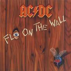 AC/DC. Fly On The Wall (180g, LP)