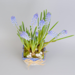 Композиция с первоцветами Мускари моно