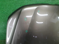 Капот Renault Duster 2 (2020-н.в.)