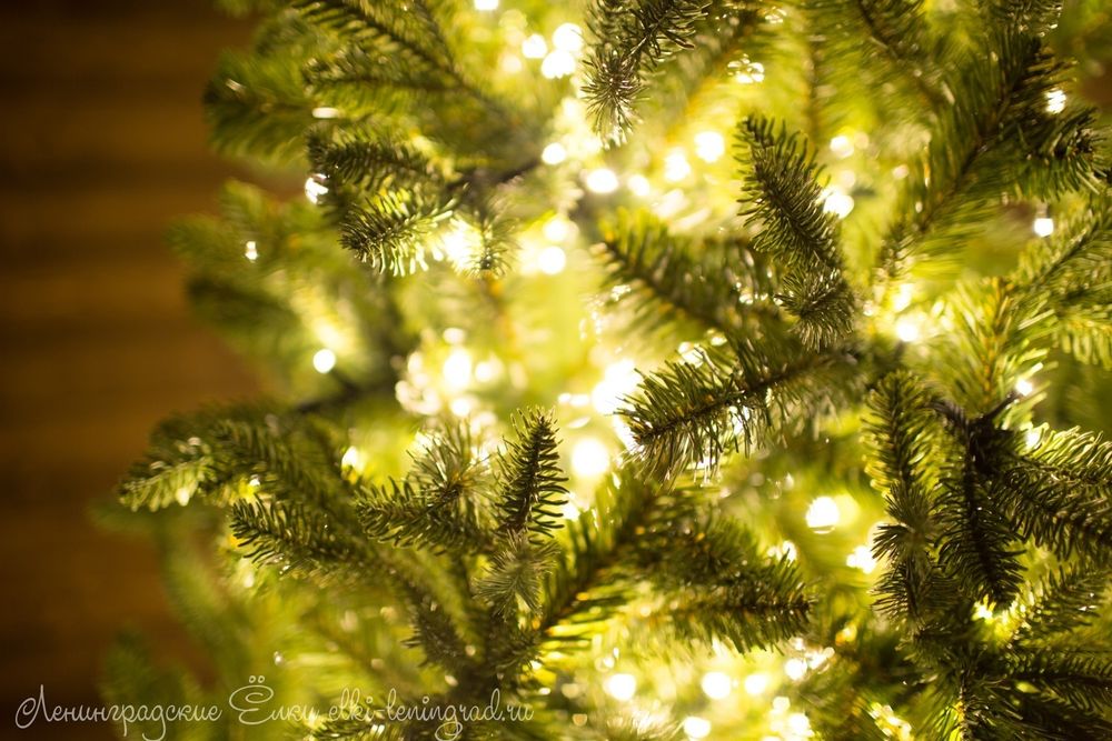 "БАРОККО ПРЕМИУМ" Световая 11