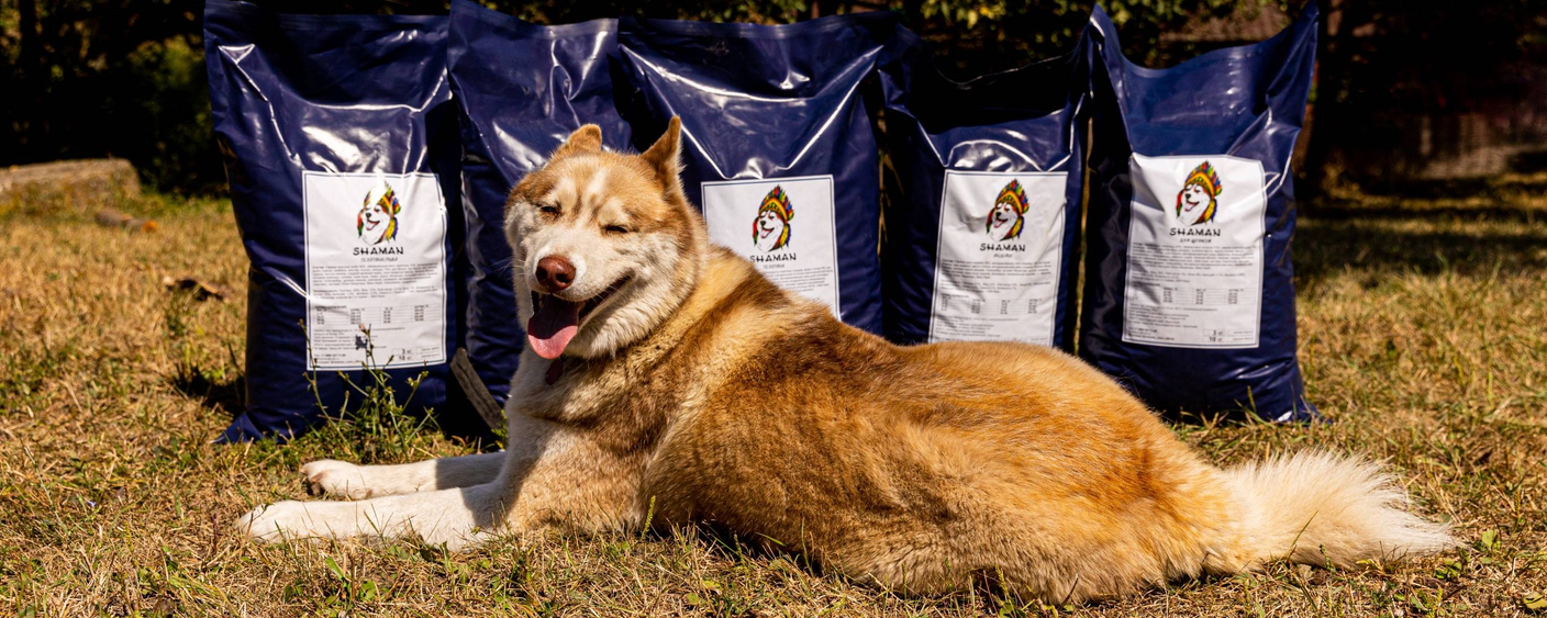 Скидка месяца!