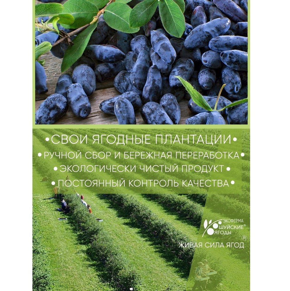 Мармелад «Фитнес Ассорти», 200 г