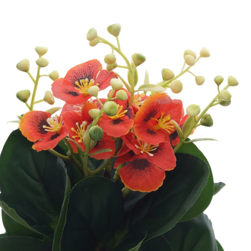 GAEM Цветочная композиция, L20 W11 H63 см