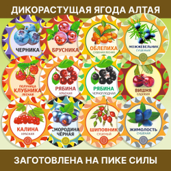 Белый гриб сушеный ароматный "Зрелый".