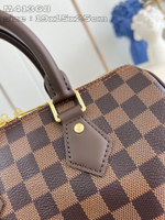 Louis Vuitton Speedy 25