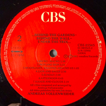 Andreas Vollenweider ‎– Behind The Gardens - Behind The Wall - Under The Tree (Греция 1986г.) Т