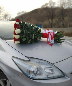 49 высоких роз
