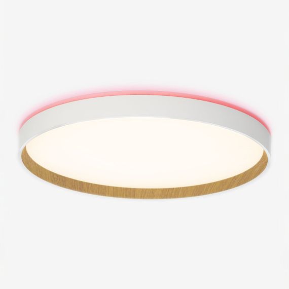 Потолочный светодиодный светильник Citilux Etalon CL750400R