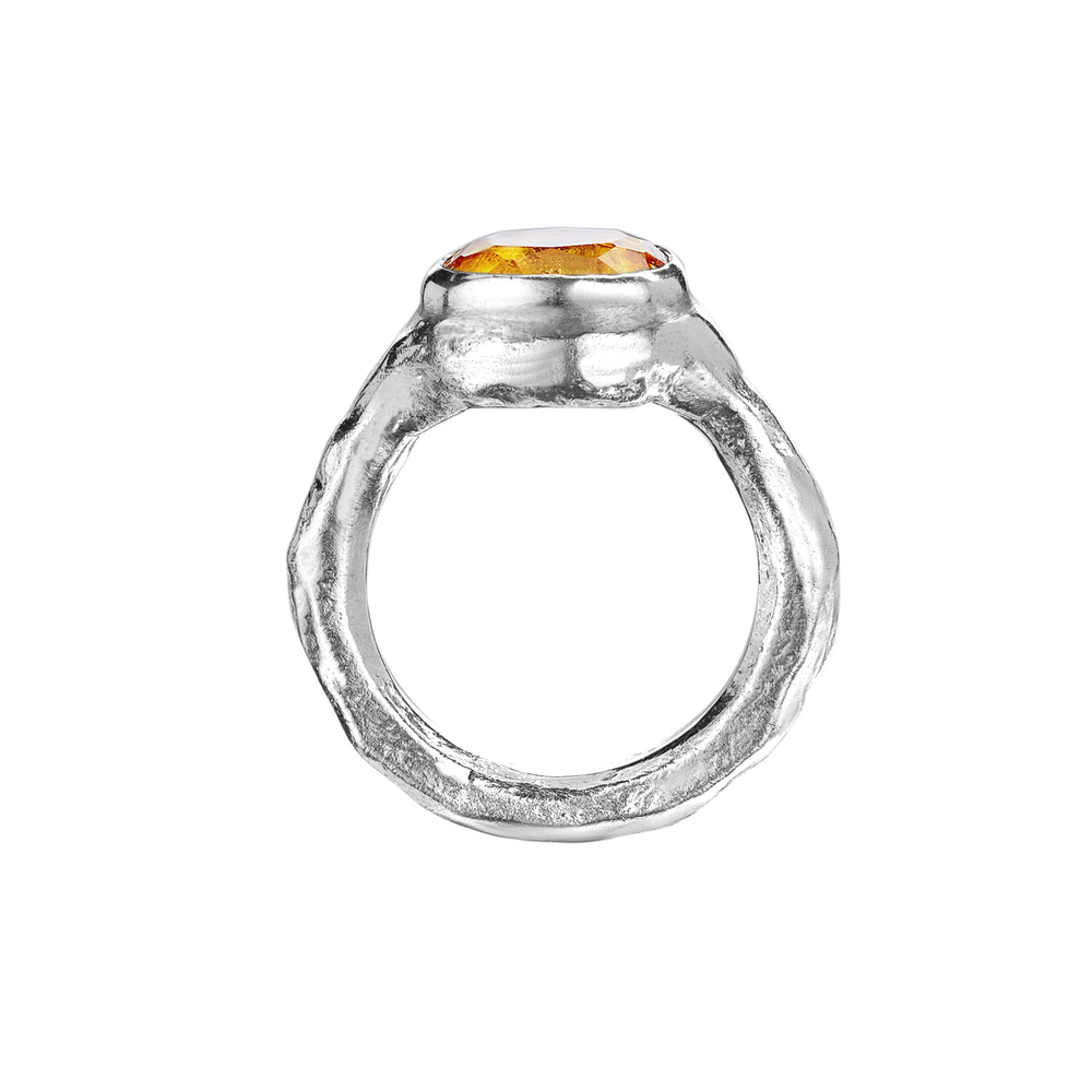 TEMEYA silver 2_однотон