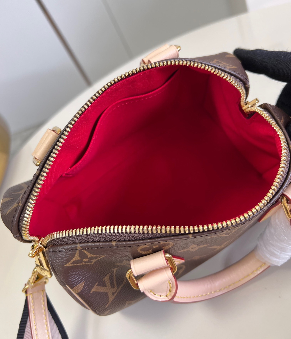 Louis Vuitton Speedy 20