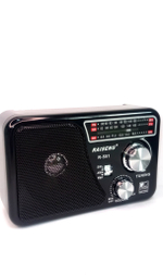 Радиоприемник Raiseng R-551