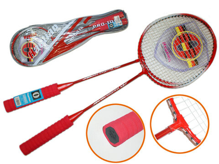 Набор для бадминтона Haotian :PRO101