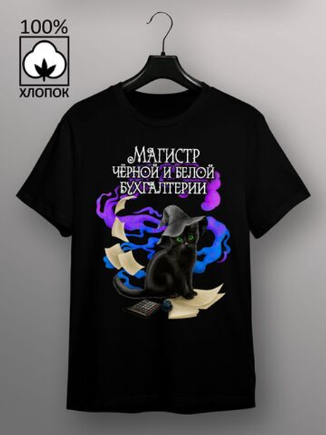 Футболка магистр бухгалтерии