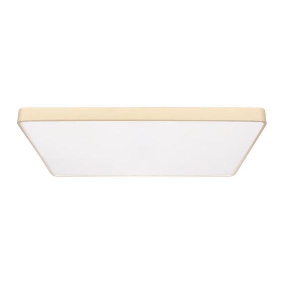 Потолочный светодиодный светильник Loft IT Flims 10228/E