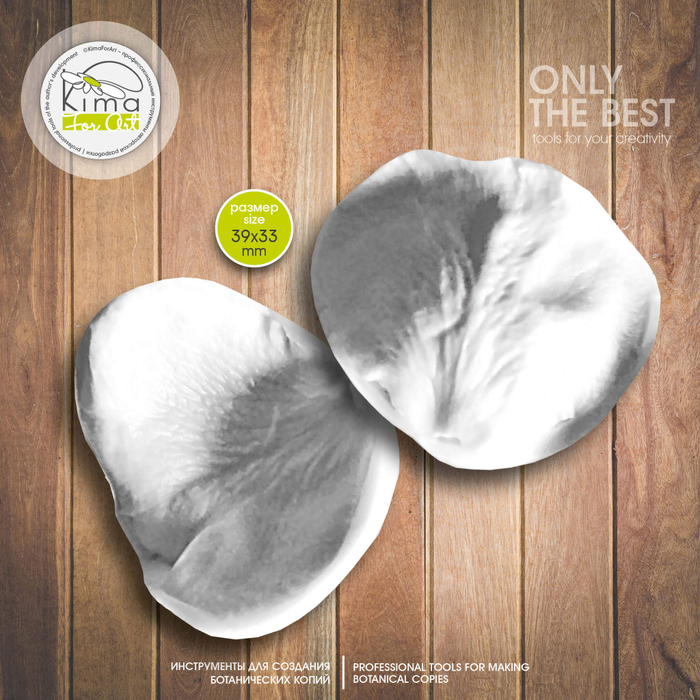 Роза кустовая рубашка