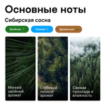 Сибирская сосна