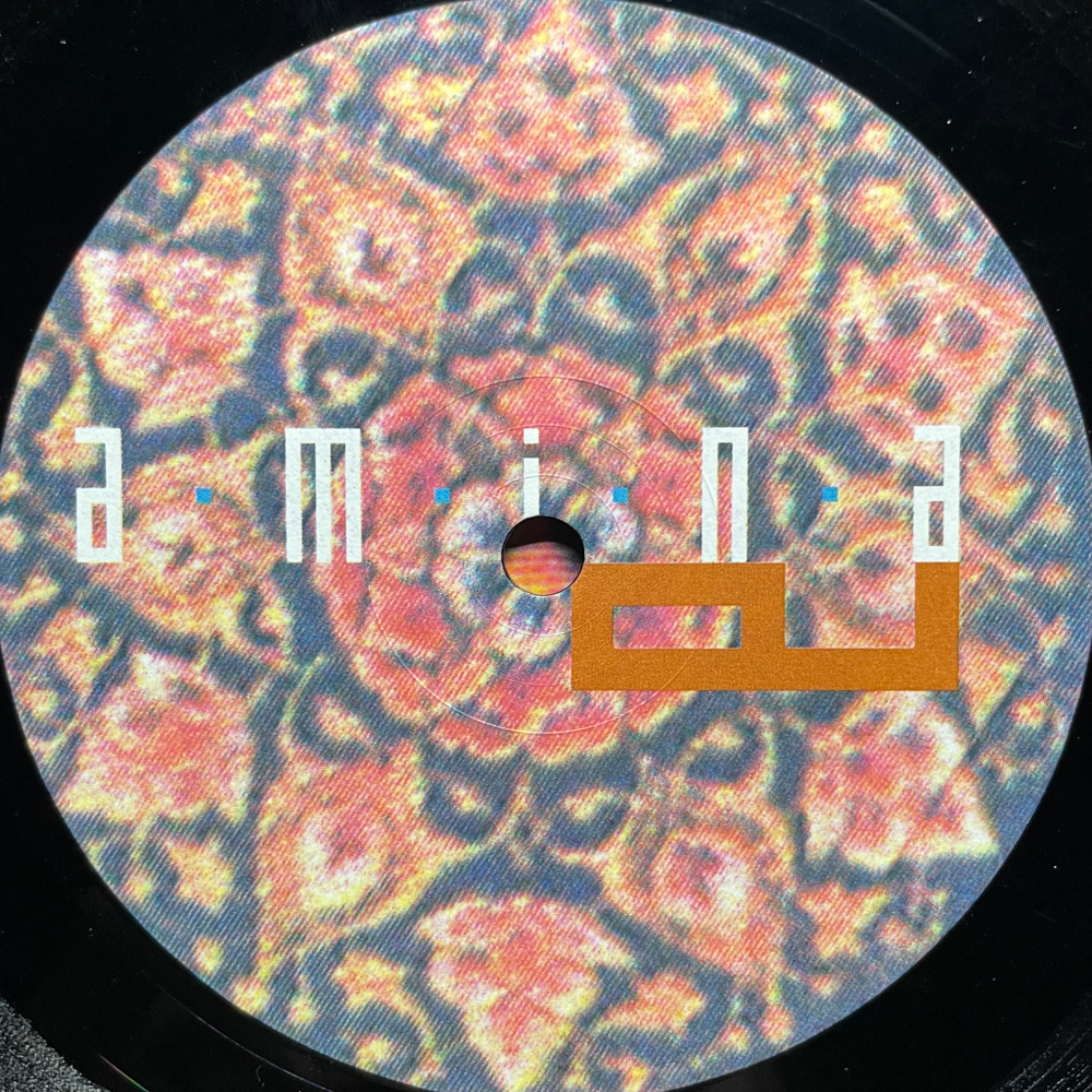 Amina ‎– Yalil (Франция 1991г.)