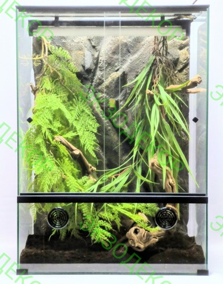 Полный комплект для Бананоеда. Террариум 40х40х60 и всё необходимое для содержания.