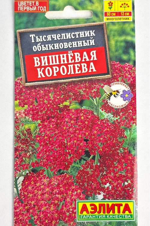 Тысячелистник Вишневая королева СМЦ-945