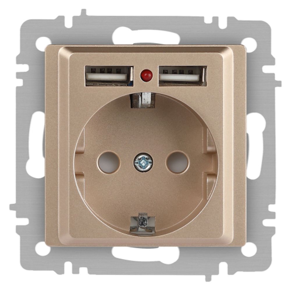 Розетка Intro Accent 6-410-04 , P+E Schuko со шторками, 16А-250В + 2хUSB, IP20, СУ, шампань | Intro