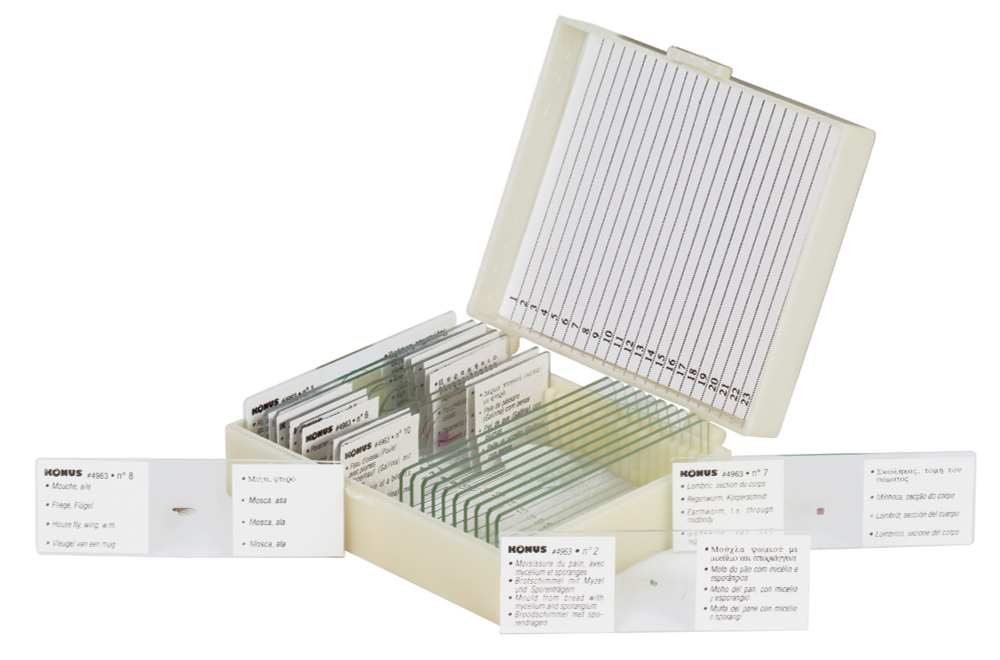 Набор микропрепаратов Konus 10: «Биология» (часть 1)