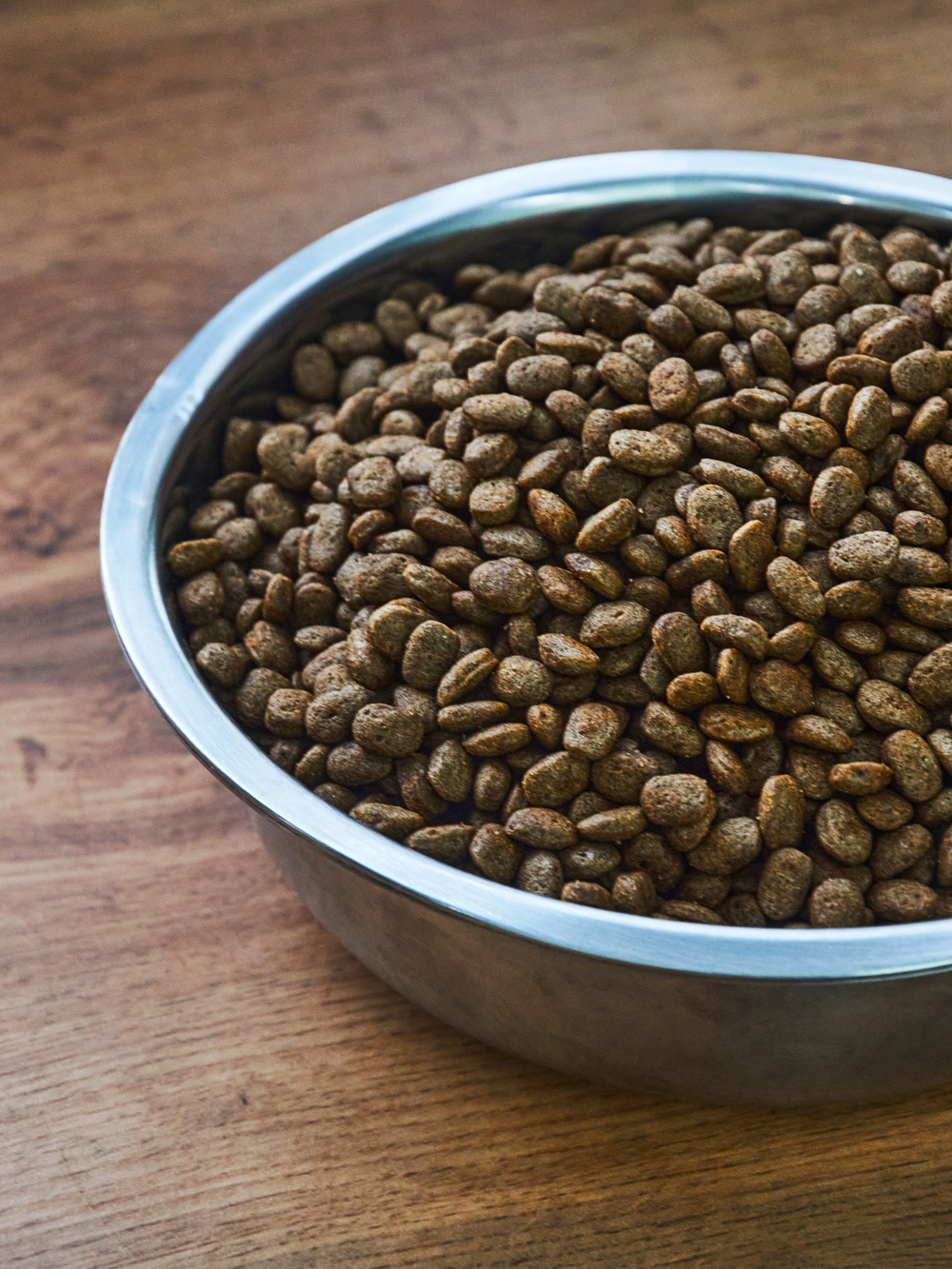 Сухой корм для щенков "Shaman" 3 кг; мелкие гранулы; класс Холистик