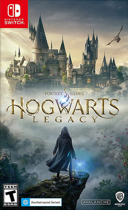 Hogwarts Legacy (Хогвартс. Наследие) (картридж для Nintendo Switch, интерфейс и субтитры на русском языке)