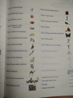Longman Childrens Picture Dictionary