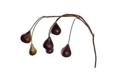 Leonardo - Ветка с инжиром Посто, 85 см / артикул   070809  / GTIN 4002541708090