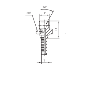 Фитинг DN 20 NPTF 1