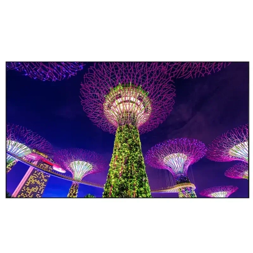 Профессиональный дисплей EliteBoard SK555FCLN