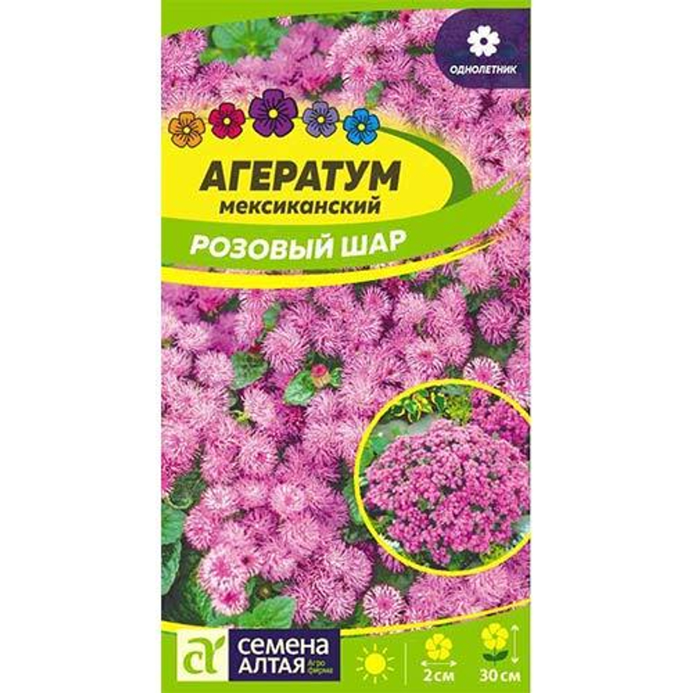 Агератум Розовый шар (са)