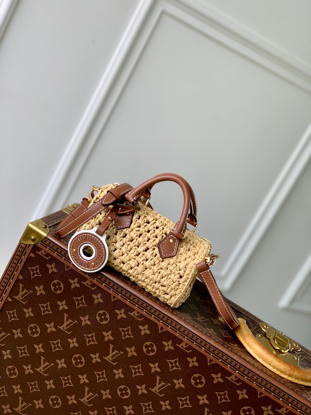 Louis Vuitton Nano Speedy