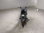 Honda PS250 Big Ruckus MF09-1203394