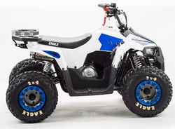 Квадроцикл MOTOLAND (МОТОЛЕНД) 110 EAGLE