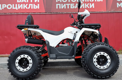 Квадроцикл PROMAX WILD 2.0 190 LUX