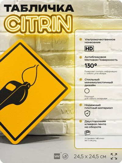 Табличка декоративная "Свисток" на дверь и стену, спортивная, информационная, декоративный знак, 24,5х24,5 см, пластиковая, Айдентика Технолоджи