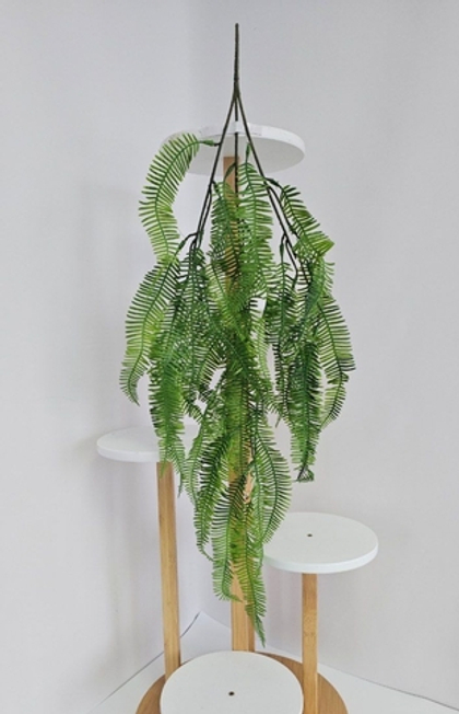 Папоротник ампельный / Арт 4258