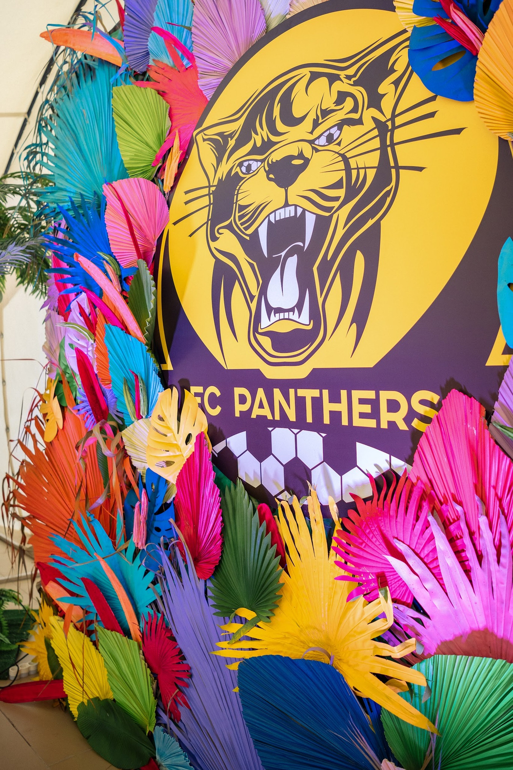 Panthers 5 years Бразильский карнавал