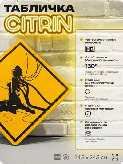 Табличка по аниме "Призрак в доспехах, Ghost in the shell" на дверь и стену, прикольная штука в подарок анимешнику, декоративный знак, 24,5х24,5 см, пластиковая, Айдентика Технолоджи
