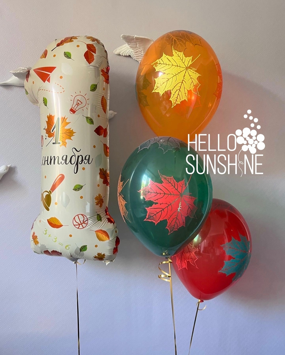 Набор Шаров  на 1 сентября №12