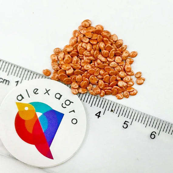 СЕЙРАН F1 семена томата Nunhems цена – фото 6