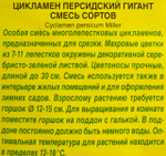 Цикламен персидский Гигант смесь 3 шт СМЦ-365