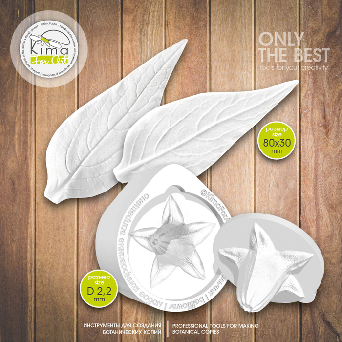 Колокольчик лесной