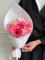 Кулек из гербер в розовом оттенке 7 шт