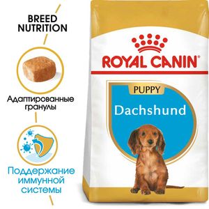 Корм для щенков собак породы такса, Royal Canin Dachshund Puppy