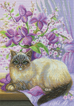 Характеристики товара:¶В комплекте: канва с нанесенным рисунком, руководство по вышиванию. Размер ка