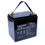 Тяговая аккумуляторная батарея EVEREST TNE 6-190