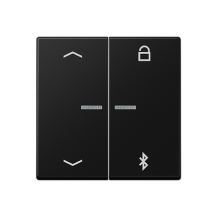 JUNG A Flow/A 550 Черный матовый Таймер универсальный Bluetooth «стрелки», арт.A1751BFPBTSWM