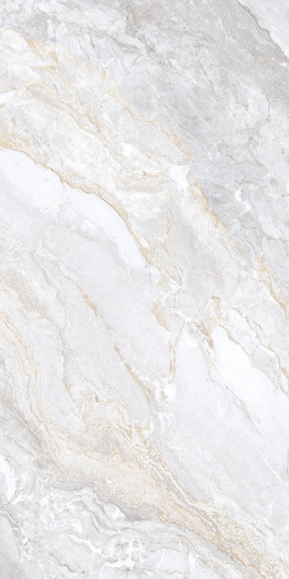 Керамогранит, Arcadia Ceramica, TRIVOLA BIANCO, 1200x600 мм, карвинг